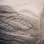 cotton mattress, latex free mattress, organic mattress